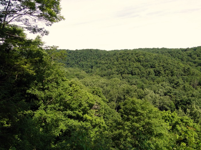 Gorge Overlook