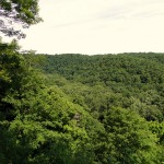 Gorge Overlook