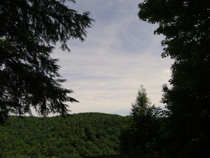 Gorge Overlook