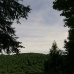 Gorge Overlook