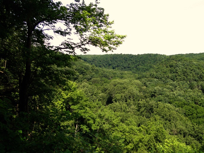 Gorge Overlook