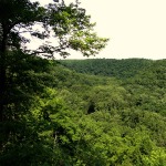 Gorge Overlook