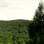 Gorge Overlook