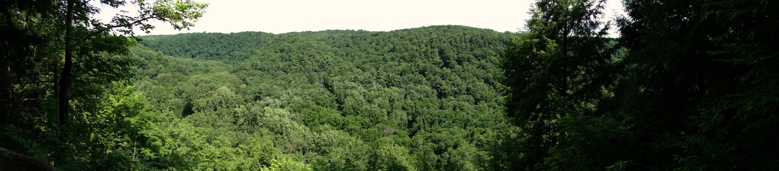 Gorge Overlook