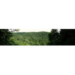 Gorge Overlook