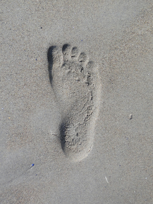 Sarah's Footprint