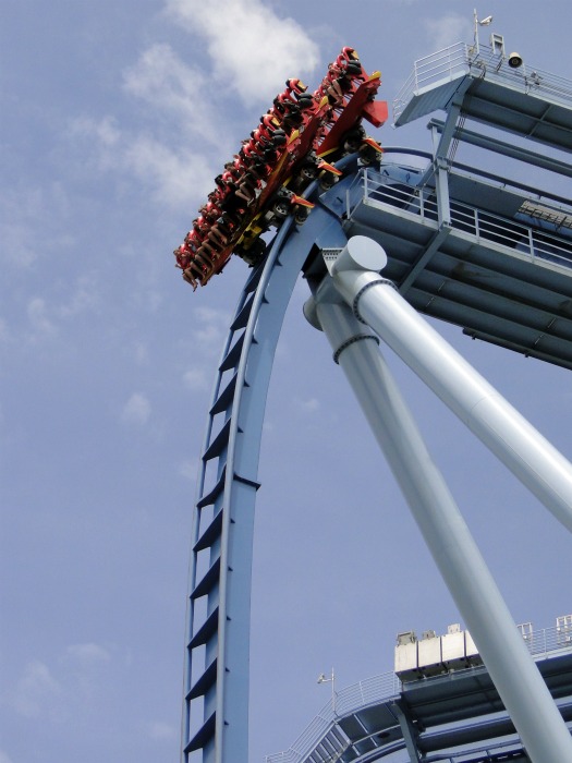 Griffon