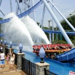 Griffon