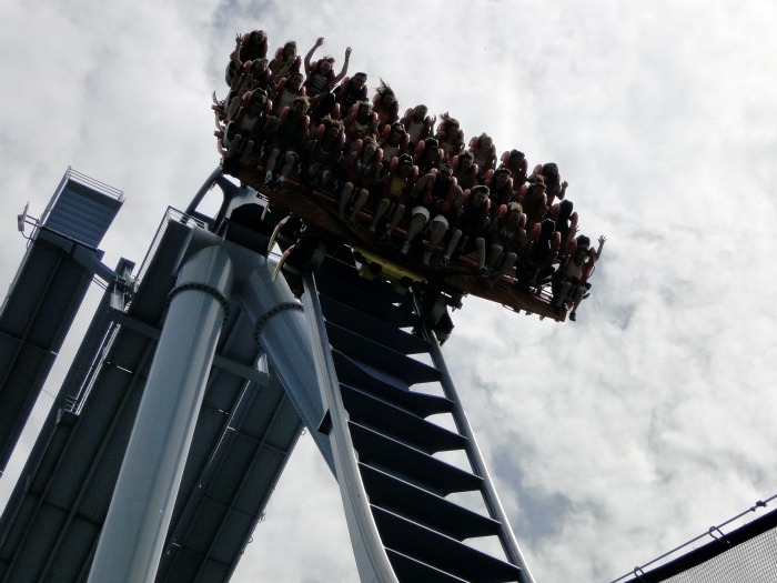 Griffon