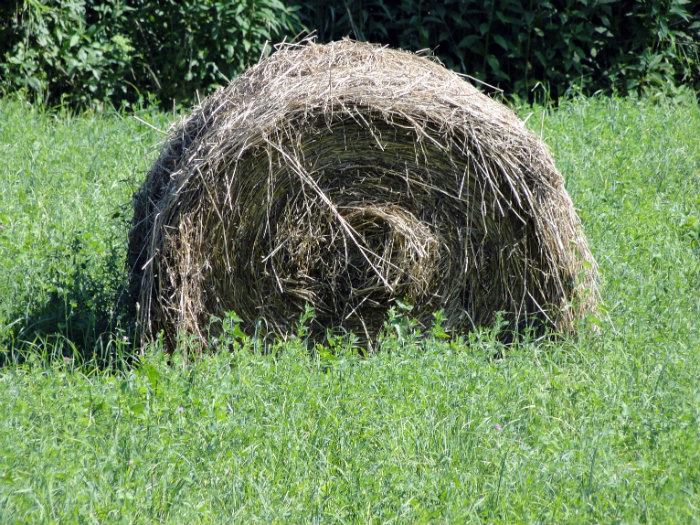 Athens County