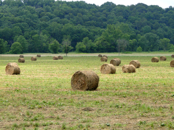 Fairfield County