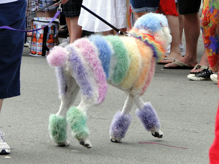 Gay Pride