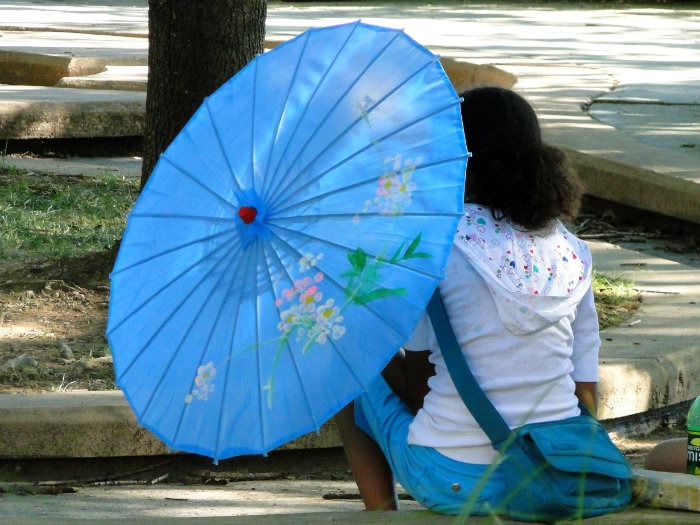 Umbrella