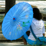 Umbrella