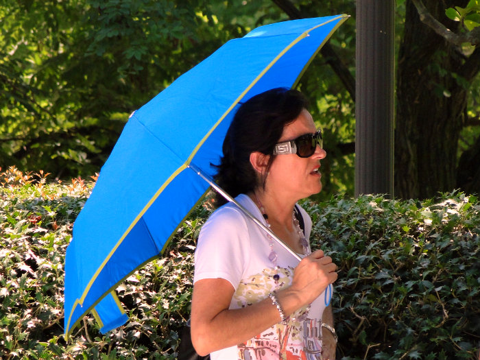 Umbrella