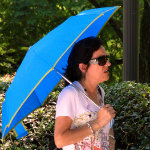 Umbrella