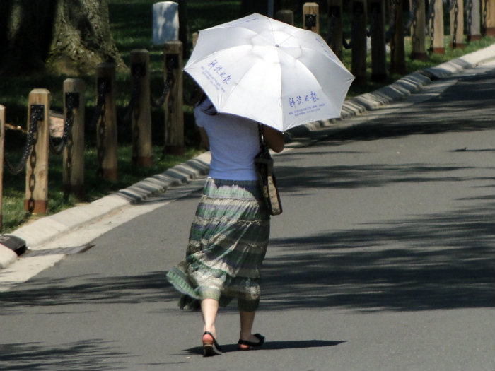 Umbrella