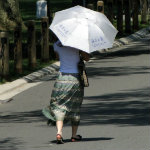 Umbrella