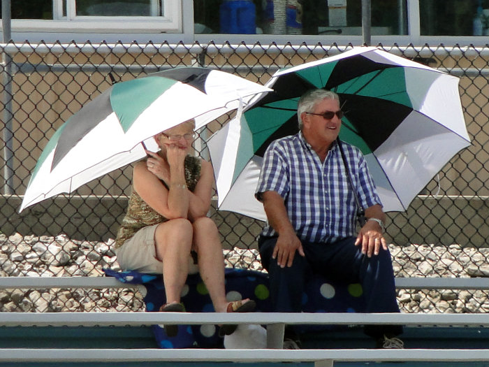 Umbrella