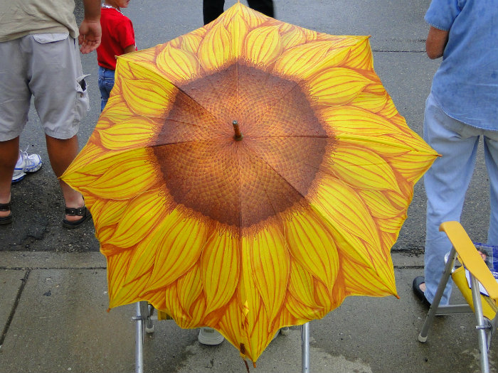 Umbrella