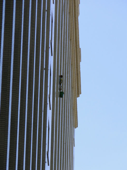 Window Washer