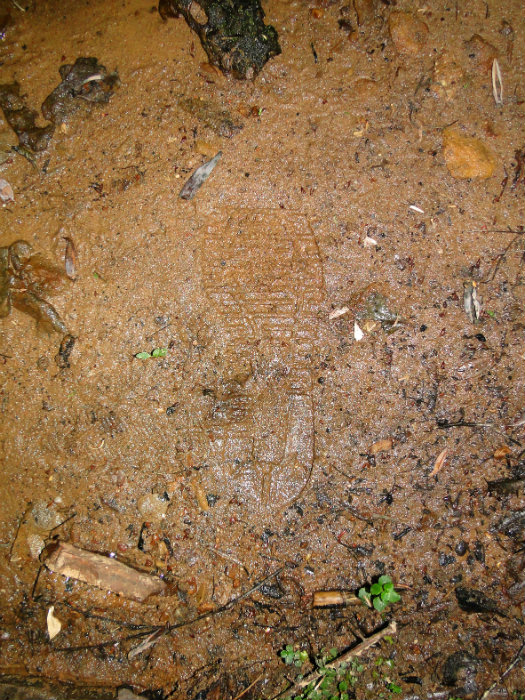 My footprint