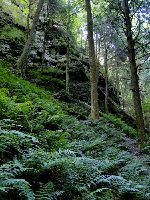 Conkles Hollow