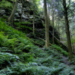 Conkles Hollow