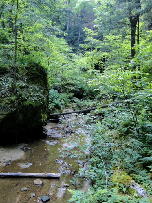 Conkles Hollow