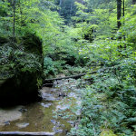 Conkles Hollow