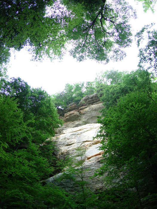 Conkles Hollow