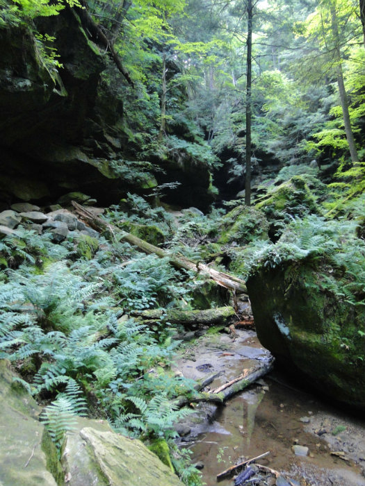Conkles Hollow