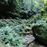 Conkles Hollow