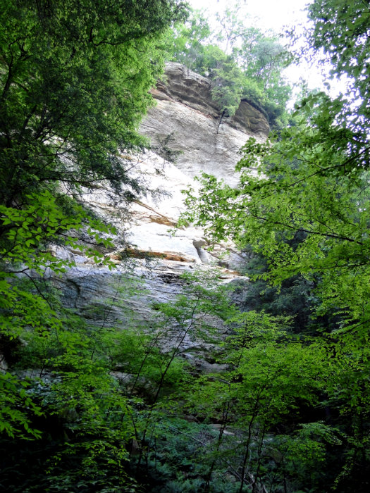 Conkles Hollow