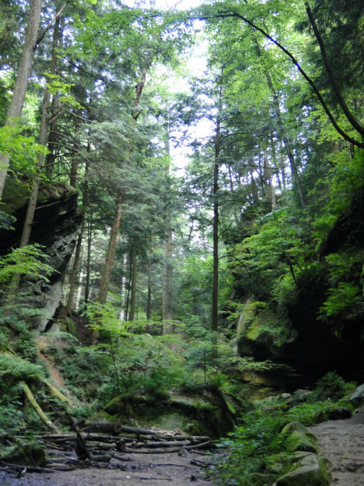 Conkles Hollow