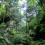 Conkles Hollow