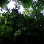 Conkles Hollow
