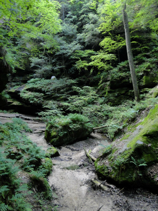 Conkles Hollow