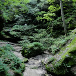 Conkles Hollow