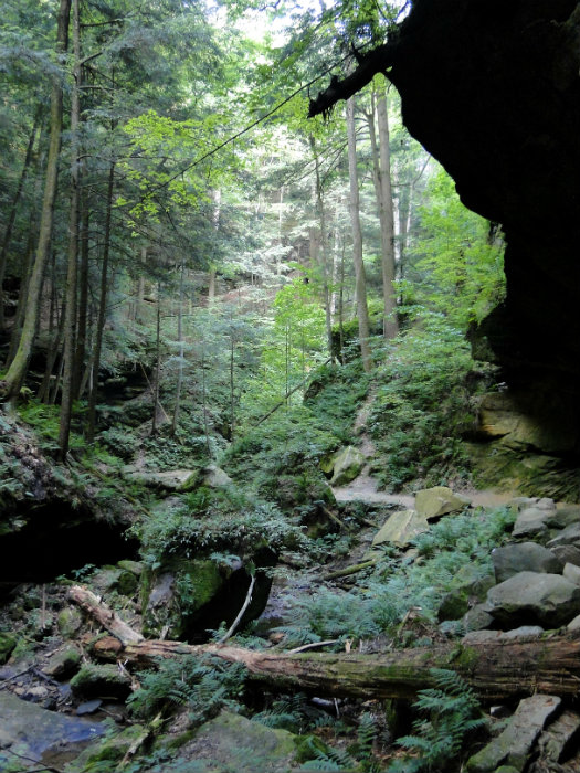 Conkles Hollow