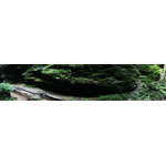 Conkles Hollow