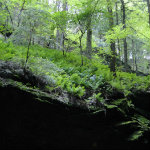Conkles Hollow