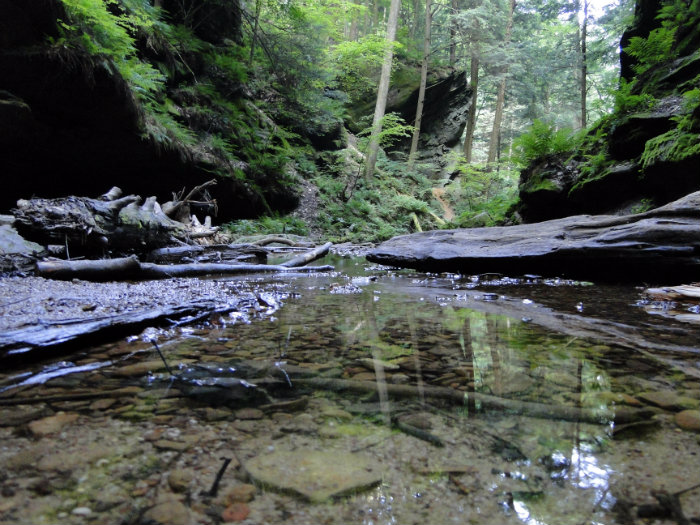 Conkles Hollow