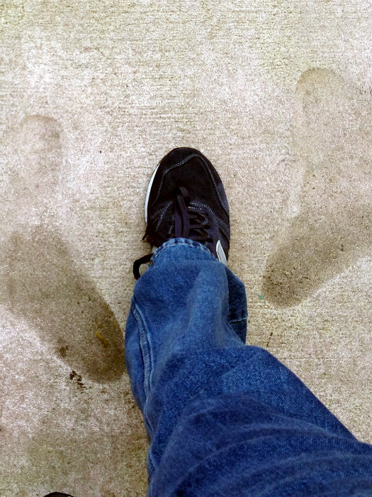 My Footprint