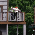 Pirates Quest