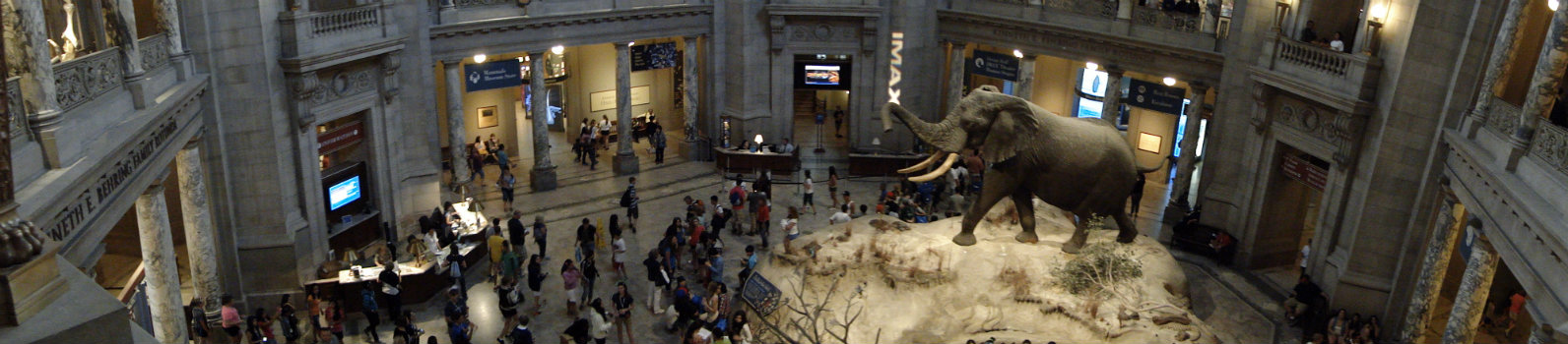 Rotunda
