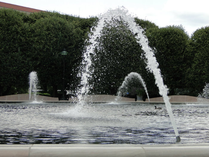 Fountain