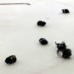 OU Bobcat Hockey