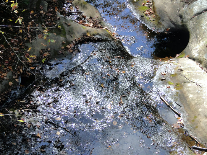 Queer Creek