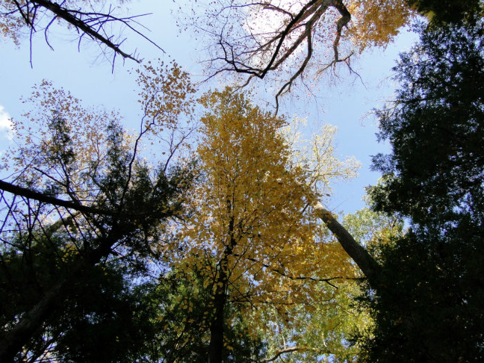 Queer Creek